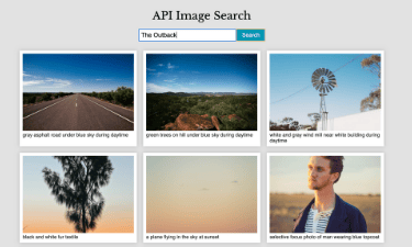 JS WP Plugin #9 – API Image Search